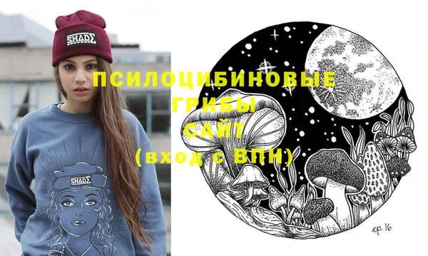 соль ск Абаза