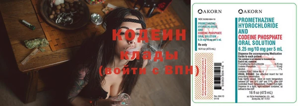соль ск Абаза