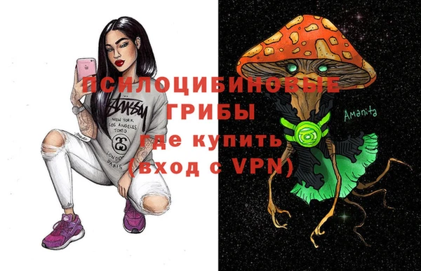 соль ск Абаза