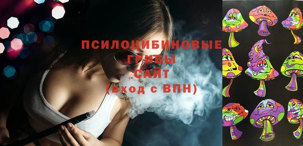 соль ск Абаза