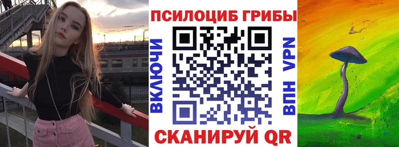 дарнет шоп  kraken как войти  Псилоцибиновые грибы GOLDEN TEACHER  Нолинск 
